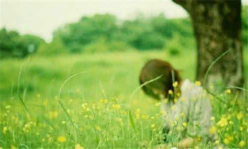 人生一辈子 不过十句话 人生一辈子