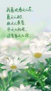 倾心相遇安暖相陪图片 倾心相遇，安暖相陪