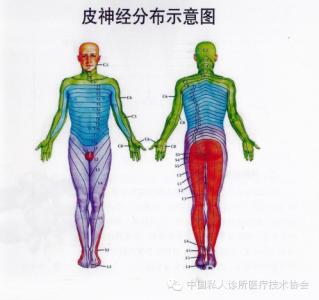 浮针 【特色医疗】浮针连载17期：三叉神经痛