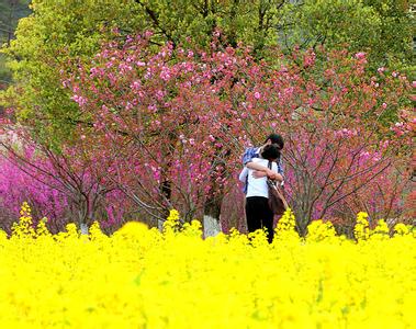 一座春天栖息的城市 爱栖春天 ,花开倾城