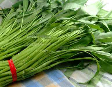 空心菜挑选 空心菜挑选窍门