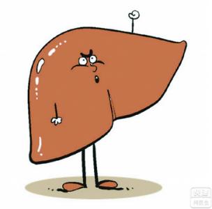 原发性肝癌会不会传染 原发性肝癌会传染吗 医生这样说