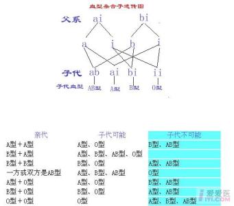 亲子鉴定最简单方法 血型亲子鉴定 血型亲子鉴定有效吗