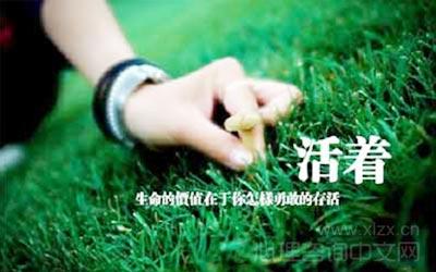 失去也是一种得到素材 失去也是一种获得