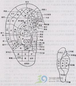 中医耳穴治疗图-中医