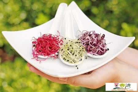 吃甘草酸苷片体重增加 春季饮食调养 注意增甘少酸多祛湿