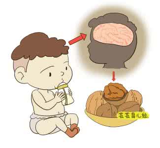 胎儿大脑发育高峰期 胎儿大脑发育高峰期 孩子一生仅一次大脑发育高峰期,错过不可逆!