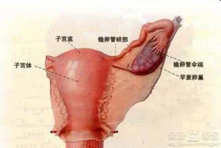 卵巢黄体破裂 卵巢黄体破裂 带大家了解卵巢黄体破裂