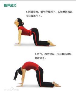 练习瑜珈矫正驼背（图示）