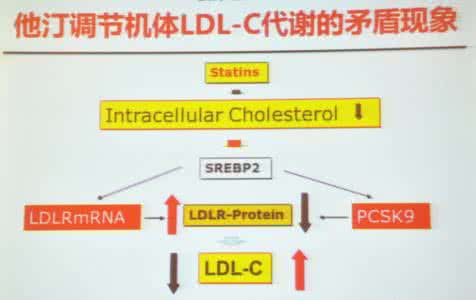 谈谈胆固醇的功过 李建军谈胆固醇的昨天今天与明天