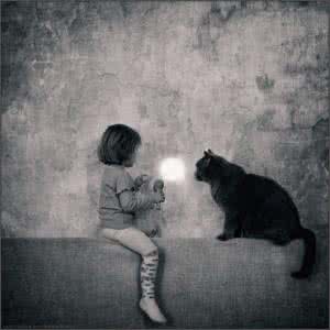 猫咪长大了就不抓人了 与猫咪一起长大的童年