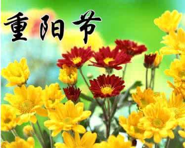 送给朋友创业的祝福语 2013最新重阳节祝福语短信大全__送给家人,送给朋友,送给客户,幽默搞笑,温馨祝福语