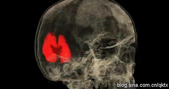 人类的大脑其实很可怕 大脑是人类最重要的性器官：大脑体验性高潮