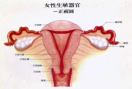 月经隔一个月来一次 月经隔了两个月才来 月经隔了一个月才来怎么回事