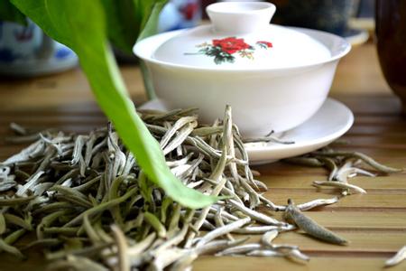 新工艺白茶 白茶是什么茶 什么是新工艺白茶？