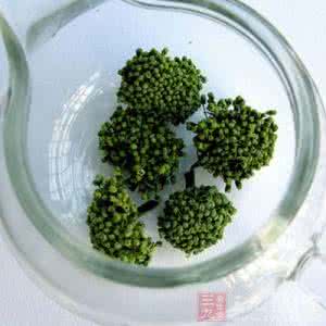 三七花泡水喝的功效 三七花泡水喝的功效 小小三七花功效多