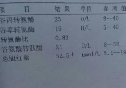 总胆红素偏高后果 总胆红素偏高 这些因素导致其升高