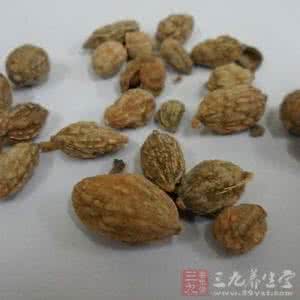 益智仁的作用与功效 益智仁的功效与作用 益智仁的作用都有哪些