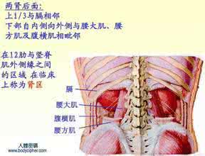 肾脏囊肿怎么治疗 长寿肾为本 中医九大秘诀养护肾脏