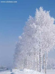 雪景拍摄技巧 那美丽的白色世界 浅谈雪景拍摄技巧