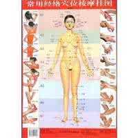 白老师家常菜菜谱整理 {收藏}整理中里老师的关于经络穴位的功效位置-在路上-搜狐博客