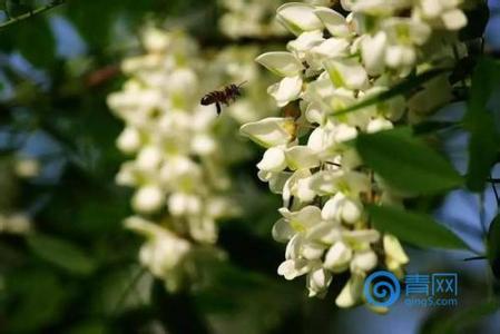 沂蒙红嫂 祖孙三代谱写沂蒙红嫂传奇