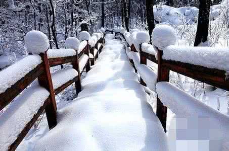 雪景人物拍摄 雪景拍摄