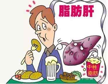 脂肪肝喝什么茶有效 【脂肪肝】如何有效地预防脂肪肝？