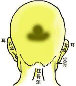 碧玉值钱吗 骨相大全——明珠碧玉骨