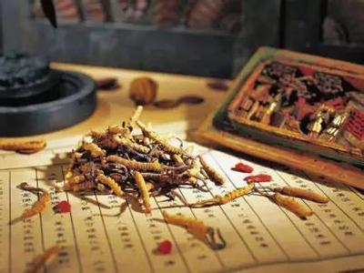 什么人不能吃冬虫夏草 冬虫夏草不能随便吃