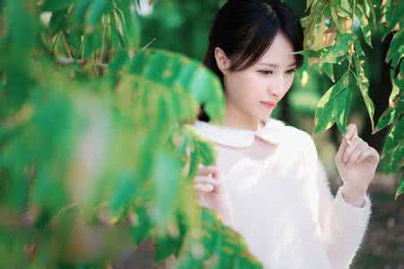 莲花美文 婉约如莲【情感美文】