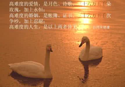 爱情与婚姻的本质区别 50句话悟透爱情婚姻的本质经典语录