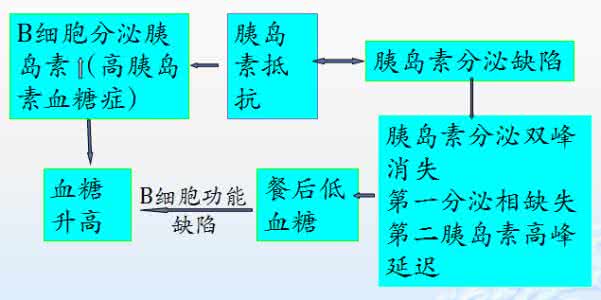 预防糖尿病十大要素 糖尿病保健养生五要素