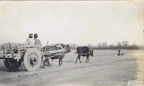 老北京人力车夫下酒菜 老北京的人力和兽力车(图)