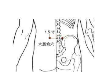 肠道清道夫 大肠俞穴:保持肠道卫生的“清道夫”