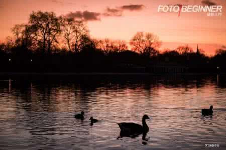 光线艺术 4招教你用光线提升照片艺术感