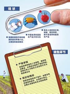 中央一号文件 转基因 中央一号文件九年六次提转基因