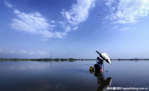 钓鱼技巧全攻略 刮风天钓鱼技巧全攻略