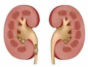 常见的补肾食物 最常见的它竟是补肾高手！补肾如此简单，不可不知！