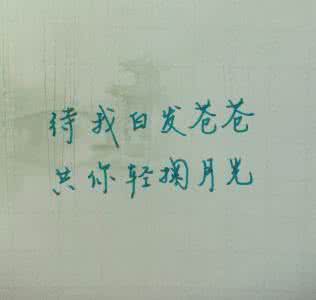 待我容颜迟暮白发苍苍 待我白发苍苍