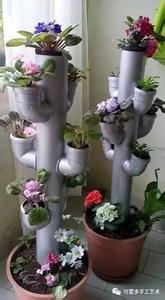 塔莎奶奶 【塔莎小课堂】你知道什么样的花盆才适合种花吗？