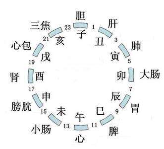 养身 养身作息图解