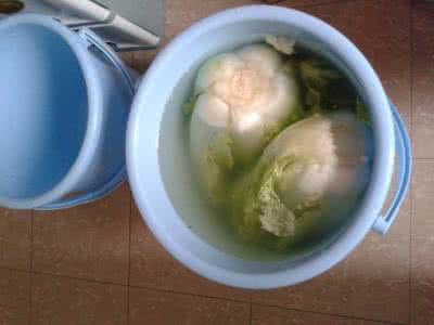 芥菜做酸菜腌制方法 用做酵素的方法腌制酸菜