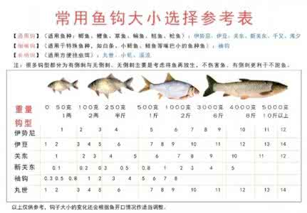 鱼钩的绑法图解大全 鱼钩知识大全（新手必看）