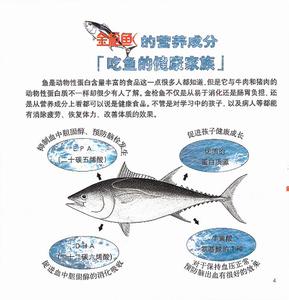 金枪鱼减肥食谱 金枪鱼营养价值