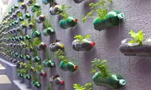 生活中的废物利用大全 生活中的“废物利用”大全