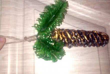 云杉和冷杉的区别 编织的诱惑----云杉