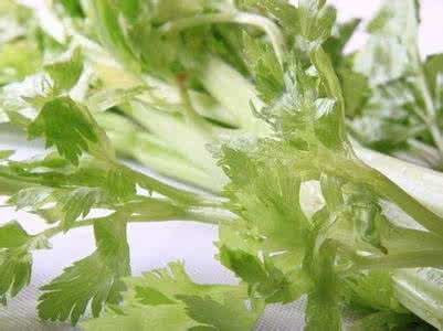 芹菜病虫害防治 芹菜这么吃可以治小病