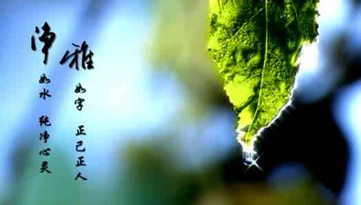 同执着前行阅读及答案 带着执着和美好一路前行