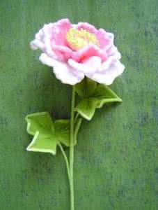 牡丹花施肥 牡丹花施肥 肥骨牡丹花作法